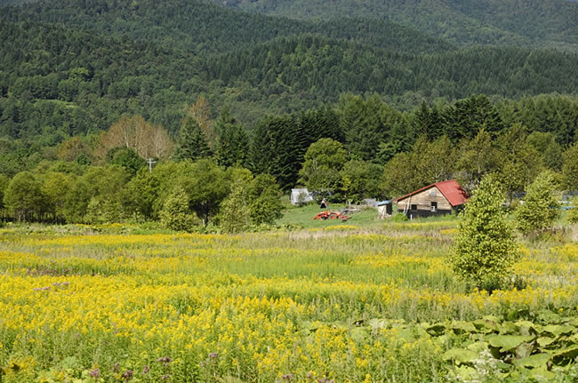 風景