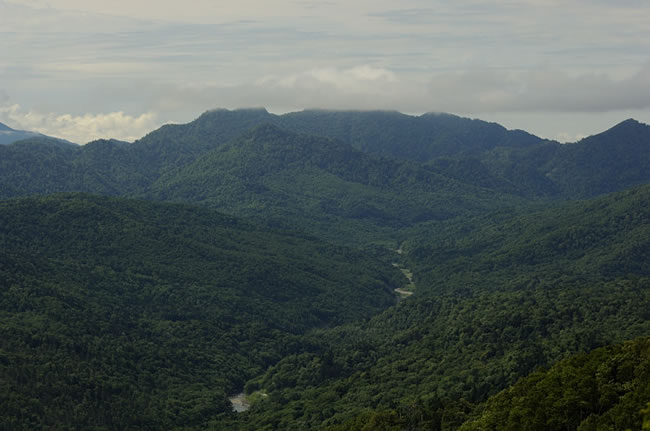 深い深い山