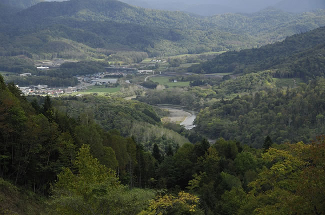 占冠中央地区