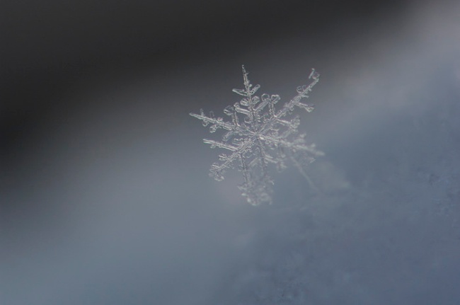 雪の結晶