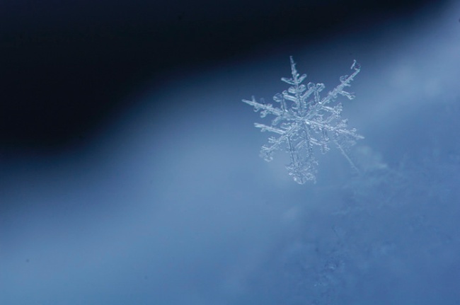 雪の結晶