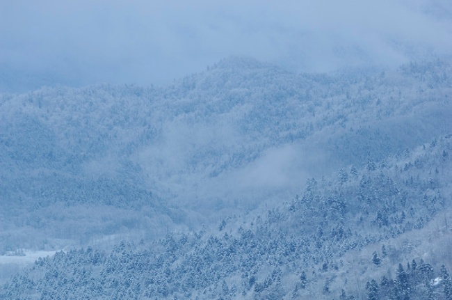 雪景色