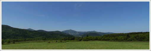 トマム（牧草地）の風景