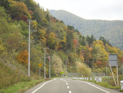 トマムへ向かう山道