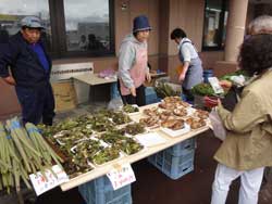 わらびなどの山菜