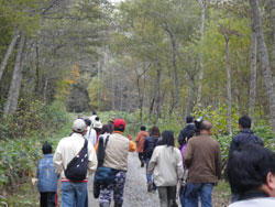双殊別林道を歩く参加者たち