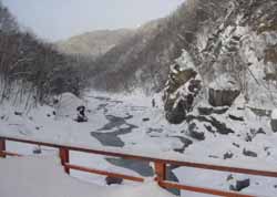 占冠村立自然公園赤岩青巌峡