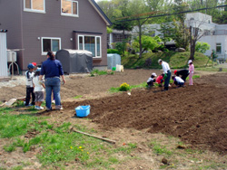 農業体験をしている小学生達