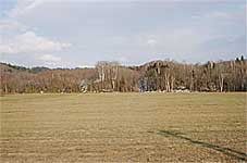 ほんのり緑色の牧草地