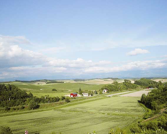 北海道美瑛町にて