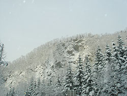 白く凍り付く山の木々