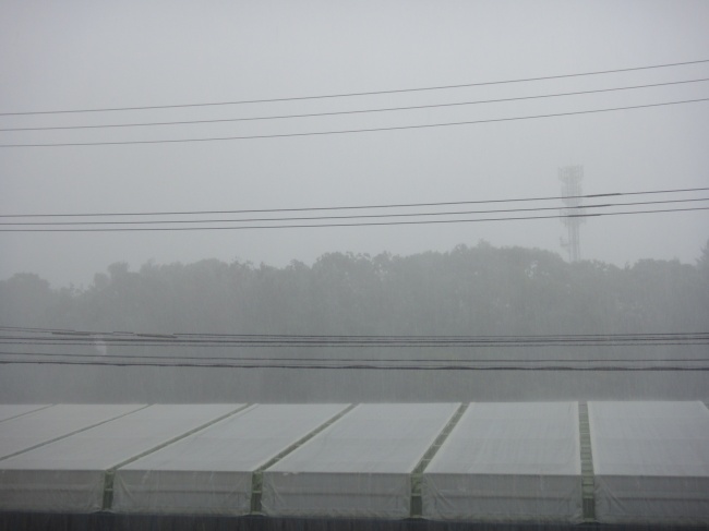大雨
