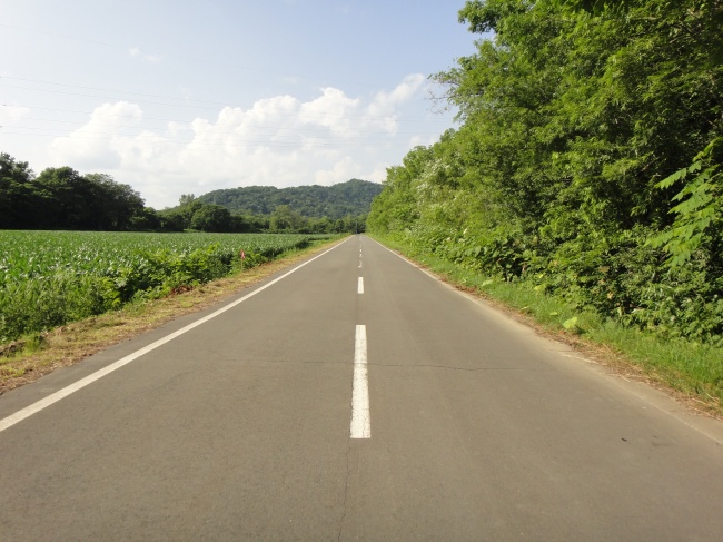 北海道道1172号占冠インター線