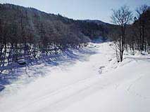 鵡川の様子